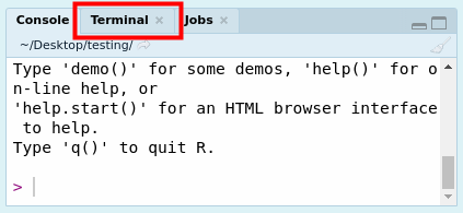 Location of Terminal in RStudio.